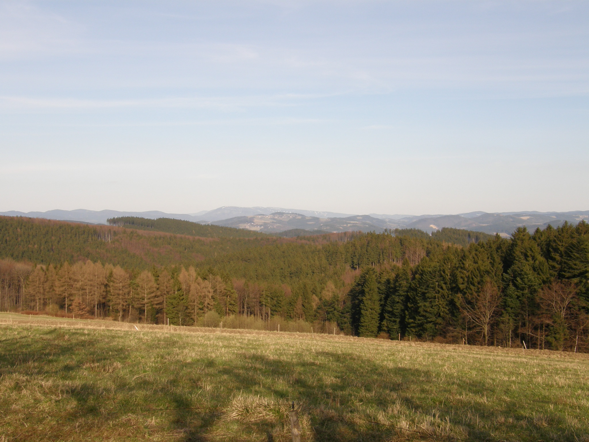 P3300026.JPG